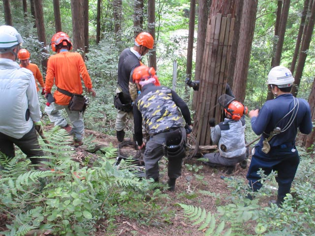 センターの概要：イメージ2