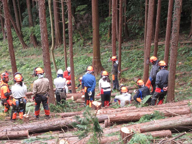 センターの概要：イメージ3