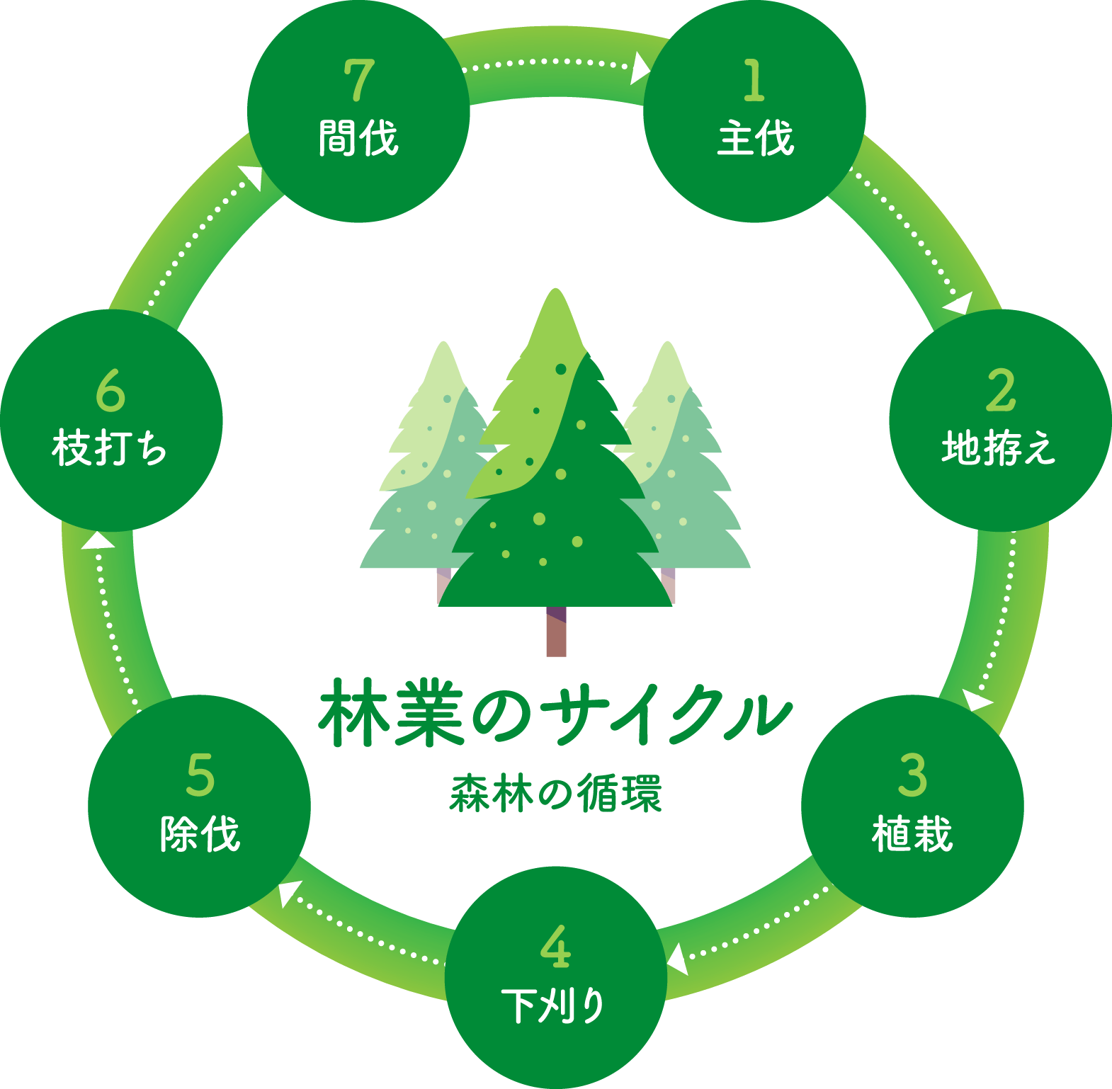 林業のサイクル：イメージ