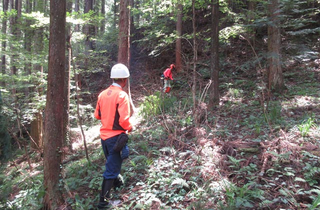 ロガーワークス株式会社：イメージ1