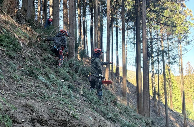 ロガーワークス株式会社：イメージ3