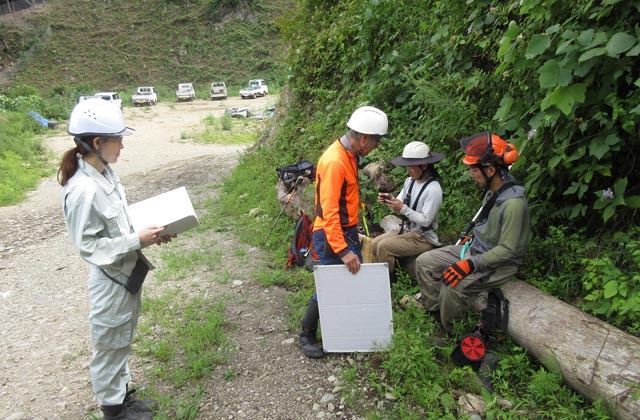 新規就業者の現在：イメージ1