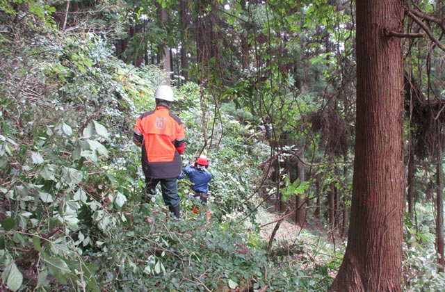 有限会社塩野産業：イメージ2