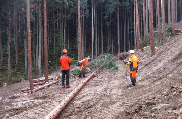 東京都森林組合：イメージ2