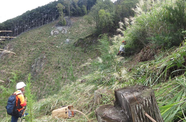 ユニバーサル林業株式会社：イメージ1