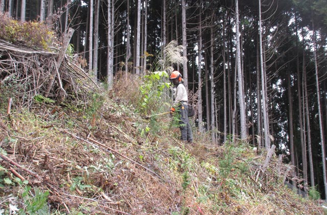 ユニバーサル林業株式会社：イメージ2