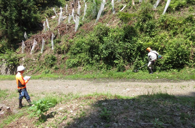 株式会社ウッディーコイケ：イメージ1