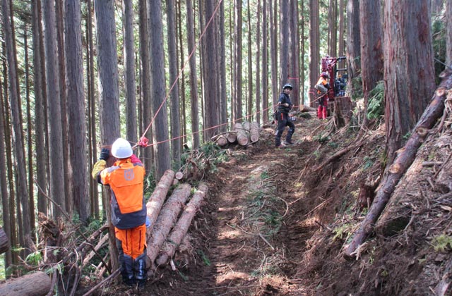 森のお仕事株式会社：イメージ2